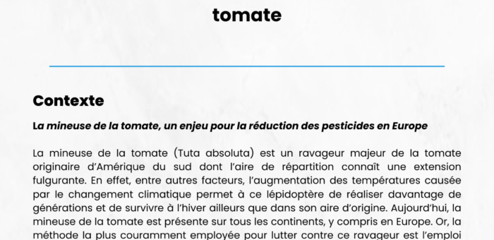 Offre de stage L3, M1, M2 – Analyse des pratiques et besoins pour des méthodes alternatives de contrôle de la mineuse de la tomate