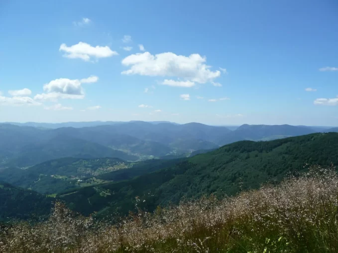 250315-2048x1536 250315-2048x1536
